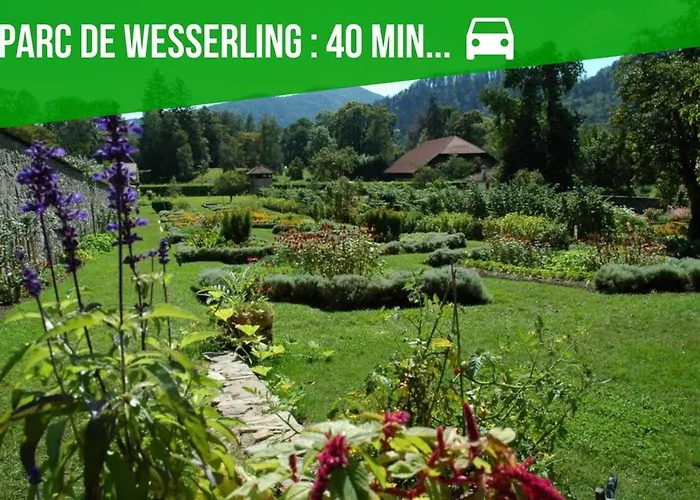 Vakantiehuis La Ptite Maison Alsace A La Campagne *